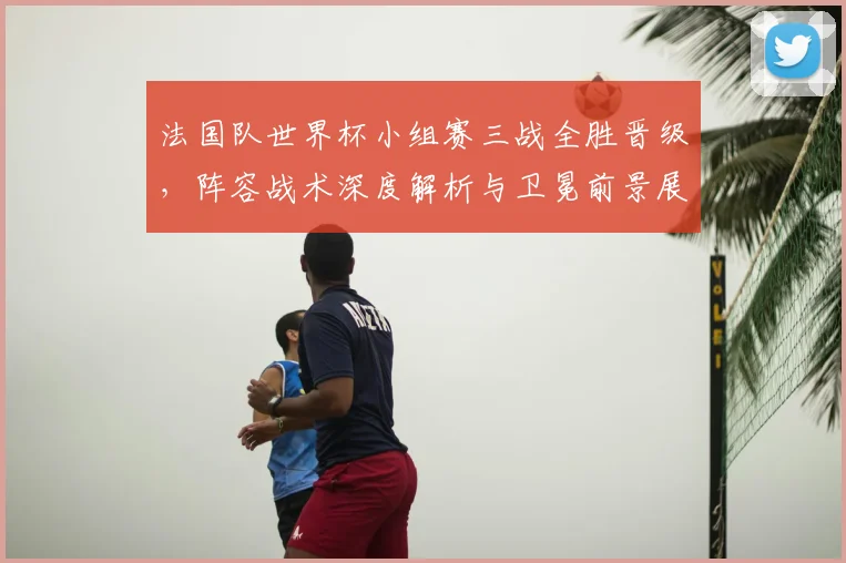 法国队世界杯小组赛三战全胜晋级，阵容战术深度解析与卫冕前景展望